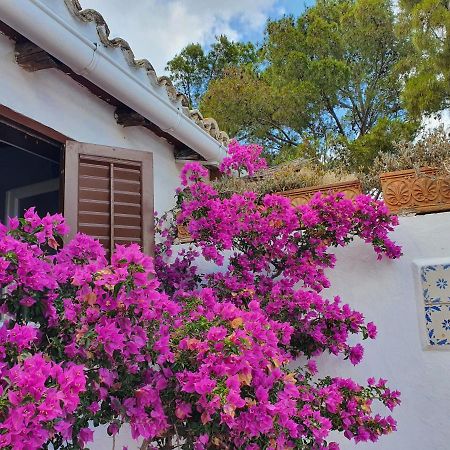 Villa Tonnara San Vito Lo Capo Zewnętrze zdjęcie