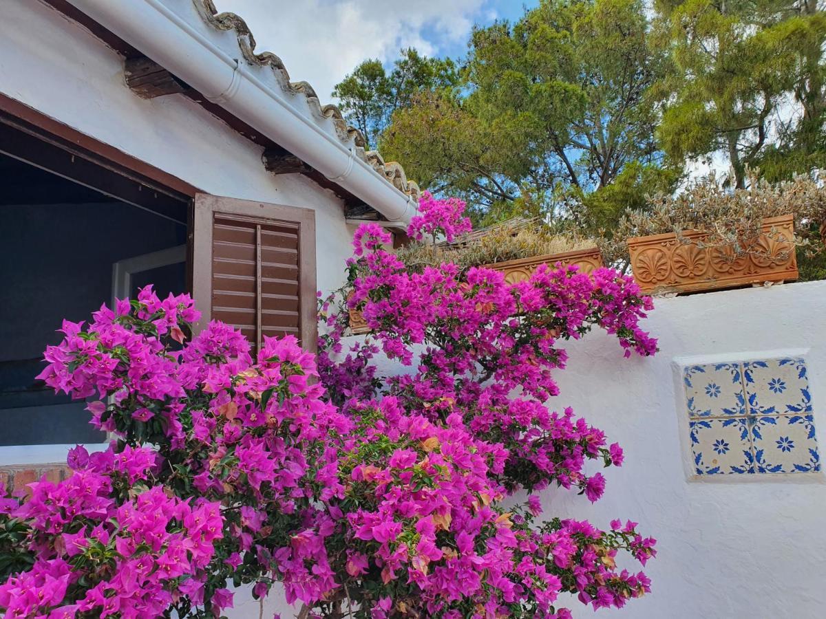 Villa Tonnara San Vito Lo Capo Zewnętrze zdjęcie